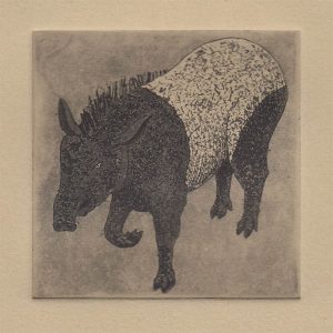 galerie_bestioles_03_tapir