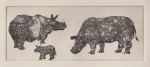 galerie_bestioles_05_deux_rhino_et_demi